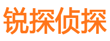 坊子外遇出轨调查取证